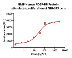 ACROBiosystems GMP Human PDGF-BB Protein, Quantity: Each of 1