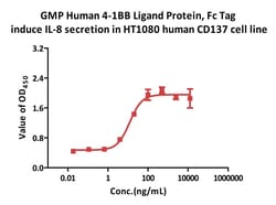 ACROBiosystems GMP Human 4-1BB Ligand Protein, Fc Tag, Quantity: Each of