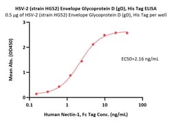 ACROBiosystems HSV-2 (strain 333) Envelope Glycoprotein D (gD), His Tag