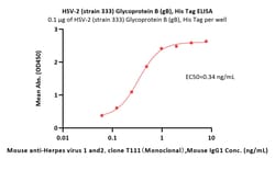 ACROBiosystems HSV-2 (strain 333) Glycoprotein B (gB), His Tag (MALS verified),