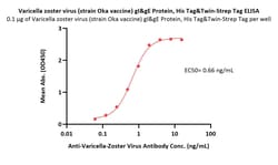ACROBiosystems Varicella zoster virus (strain Oka vaccine) gI&gE Protein,