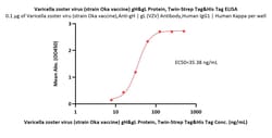 ACROBiosystems Varicella zoster virus (strain Oka vaccine) gH&gL Protein,