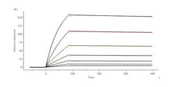ACROBiosystems HHV-5 (strain AD169) Glycoprotein H&L, His Tag (MALS verified),
