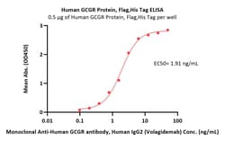 ACROBiosystems Human GCGR Protein, Flag,His Tag (Detergent), Quantity: