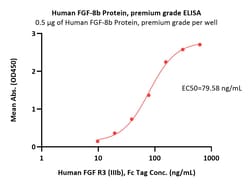 ACROBiosystems Human FGF-8b Protein, premium grade, Quantity: Each of 1