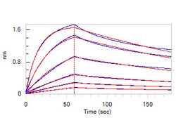 ACROBiosystems Biotinylated Human FGF-7 / HBGF-7 / KGF Protein, His,Avitag,