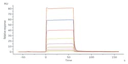 ACROBiosystems Biotinylated Rabbit FcRn / FCGRT &Tag Free (MALS&SPR verified),