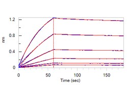 ACROBiosystems Biotinylated Human Fc epsilon RI alpha Protein, His,Avitag