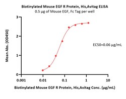 ACROBiosystems Biotinylated Mouse EGF R Protein, His,Avitag (MALS verified),