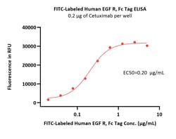ACROBiosystems FITC-Labeled Human EGF R Protein, Fc Tag, Quantity: Each