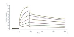 ACROBiosystems Human DR3 Protein, Fc Tag (MALS verified), Quantity: Each