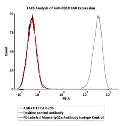 ACROBiosystems PE-Labeled Mouse IgG2a Antibody Isotype Control, Quantity:
