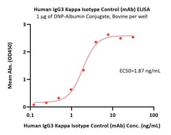 ACROBiosystems Human IgG3 Kappa Isotype Control (mAb, carrier free), Quantity: