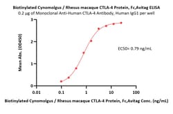 ACROBiosystems Biotinylated Cynomolgus / Rhesus macaque CTLA-4 Protein,