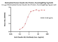 ACROBiosystems Biotinylated Human Claudin-18.2 Protein, His,Avitag &Flag