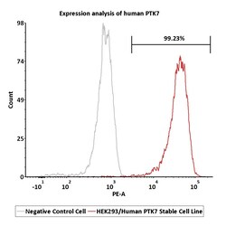 ACROBiosystems HEK293/Human PTK7 Stable Cell Line, Quantity: Each of 1