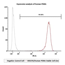 ACROBiosystems HEK293/Human PSMA Stable Cell Line, Quantity: Each of 1