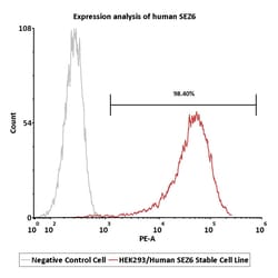 ACROBiosystems HEK293/Human SEZ6 Stable Cell Line