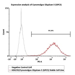 ACROBiosystems&nbsp;HEK293/Cynomolgus Glypican-3 (GPC3) Stable Cell Line