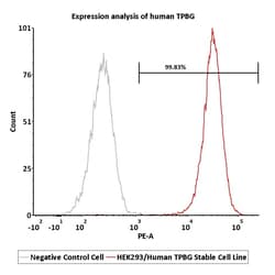 ACROBiosystems HEK293/Human TPBG Stable Cell Line