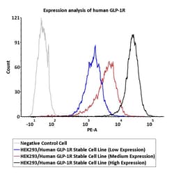 ACROBiosystems&nbsp;HEK293/Human GLP-1R Stable Cell Line (Medium Expression)