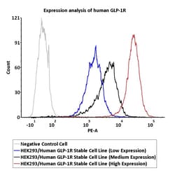 ACROBiosystems HEK293/Human GLP-1R Stable Cell Line (High Expression),