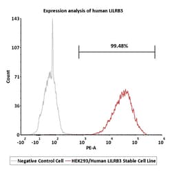 ACROBiosystems&nbsp;HEK293/Human LILRB3 Stable Cell Line
