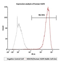ACROBiosystems&nbsp;HEK293/Human NGFR Stable Cell Line