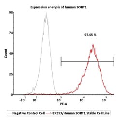 ACROBiosystems&nbsp;HEK293/Human SORT1 Stable Cell Line