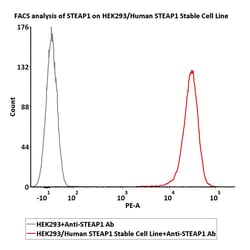 ACROBiosystems&nbsp;HEK293/Human STEAP1 Stable Cell Line