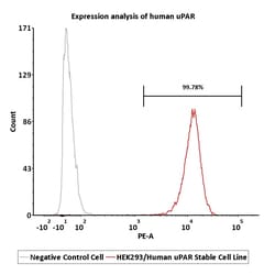 ACROBiosystems HEK293/Human uPAR Stable Cell Line