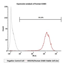 ACROBiosystems HEK293/Human ErbB3 Stable Cell Line, Quantity: Each of 1