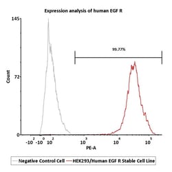 ACROBiosystems&nbsp;HEK293/Human EGF R Stable Cell Line