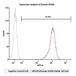 ACROBiosystems HEK293/Human HVEM Stable Cell Line