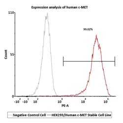 ACROBiosystems HEK293/Human c-MET Stable Cell Line