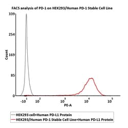 ACROBiosystems HEK293/Human PD-1 Stable Cell Line, Quantity: Each of 1