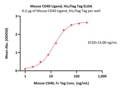 ACROBiosystems Mouse CD40 Ligand / TNFRSF5 Protein, His,Flag Tag, active