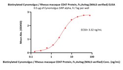 ACROBiosystems Biotinylated Cynomolgus / Rhesus macaque CD47 Protein, Fc,Avitag