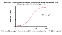 ACROBiosystems Biotinylated Cynomolgus / Rhesus macaque CD47 Protein, Fc,Avitag
