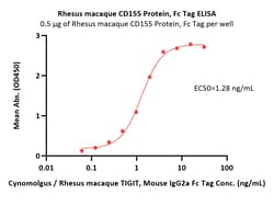 ACROBiosystems Rhesus macaque CD155 / PVR Protein, Fc Tag (MALS verified),