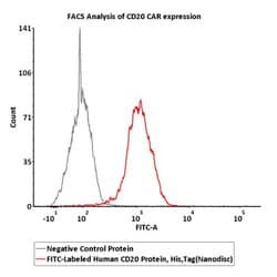 ACROBiosystems FITC-Labeled Human CD20 / MS4A1 Full Length Protein, His