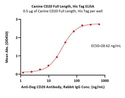 ACROBiosystems Canine CD20 / MS4A1 Full Length Protein, His Tag (Detergent),