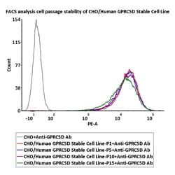 ACROBiosystems CHO/Human GPRC5D Stable Cell Line