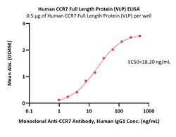 ACROBiosystems Human CCR7 Full Length Protein (VLP), Quantity: Each of