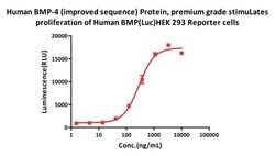 ACROBiosystems Human BMP-4 / BMP2B (improved sequence) Protein, premium