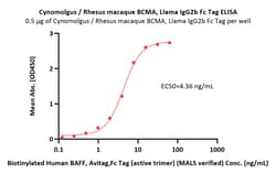 ACROBiosystems Cynomolgus / Rhesus macaque BCMA / TNFRSF17 Protein, Llama