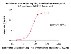 ACROBiosystems Biotinylated Mouse BAFF / TNFSF13B / CD257 Protein, Tag
