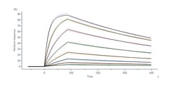 ACROBiosystems Monoclonal Anti-Monkeypox virus (strain Zaire-96-I-16) A17L