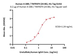 ACROBiosystems Human 4-1BB / TNFRSF9 (24-86) Protein, His Tag, Quantity: