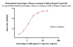 ACROBiosystems Biotinylated Cynomolgus / Rhesus macaque 4-1BB / TNFRSF9